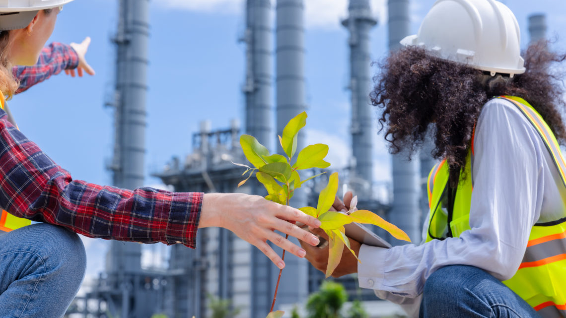Geobest y el abastecimiento responsable: clave para un futuro más verde